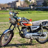 تايگر • 2020 • بصمه