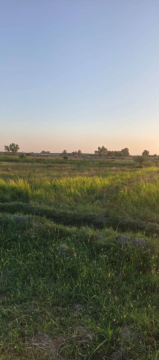 دونمين ونص بصف سبع البور مقابل المجمع السكني طابو الكاظميه تصلح مزارع بيها كافة الخدمات تبليط ماء سقي متوفر ماء اساله مدارس وغيرها مسيجه من جهتين  وقريبه عن المدينه والسوق 
***********
