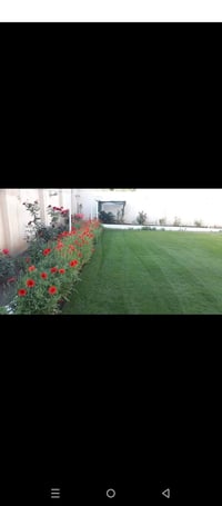 تصميم حدائق • تنظيف حدائق • معالجة الادغال