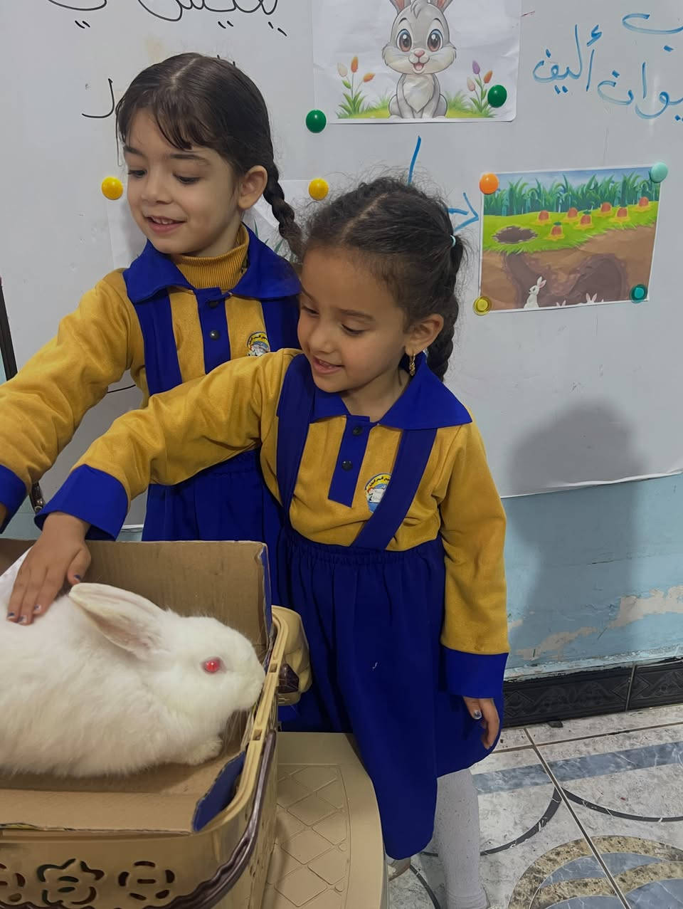 التسجيل مفتوح في روضة مونتيسوري النرجس الدولية #العنوان (محافظة صلاح الدين /مدينة بلد )
هاتف الإدارة ***********
