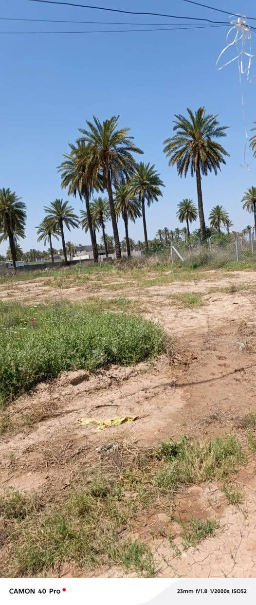 يا الله السلام عليكم قطعه ارض للبيع مساحه (( ٢٥٠ متر   بسعر مناسب ))  ملك صرف زراعي سنه 25 طابو الاعظمية منطقه الفحامه قرب جزيره بغداد السياحيه بستان الكبيسي منطقه طابع سكن خدمات/ كامله/ كهرباء /ماء /مولد/ شارع عريض عرض 15 متر والفرع 10 السعر  ١٠٠ متر    ٢٥ مليون للاستفسار على هذا الرقم *********** وتساب
