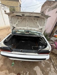 بيجو بارس • نضيفه • نجف