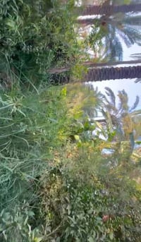 ٥ دونم • بستان كامل • طريق بغداد–أربيل
