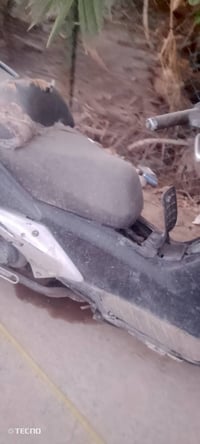 سلفر ونج • قابل تفاوض • بغداد