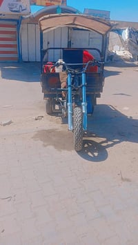 ستوته • موديل ١٣ • اوراق ضايعة