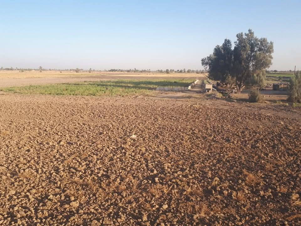 أرض زراعية للبيع ٣٠دونم زبيدي شاخه 24تحتوي على دار سكن مع مضخت ماء صالحه لزراعة تسكي على نهر القائد وعله ازبيدي تبعد عن الشارع ٥قطع مدرسه ابتدائيه ومتوسطه ***********
