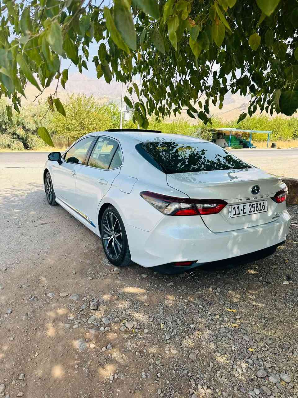 2024 gle عبداللطيف
ماشيه ٣٨
مكفوله 
مكانها ديوانيه 
238$
*********** واتساب
