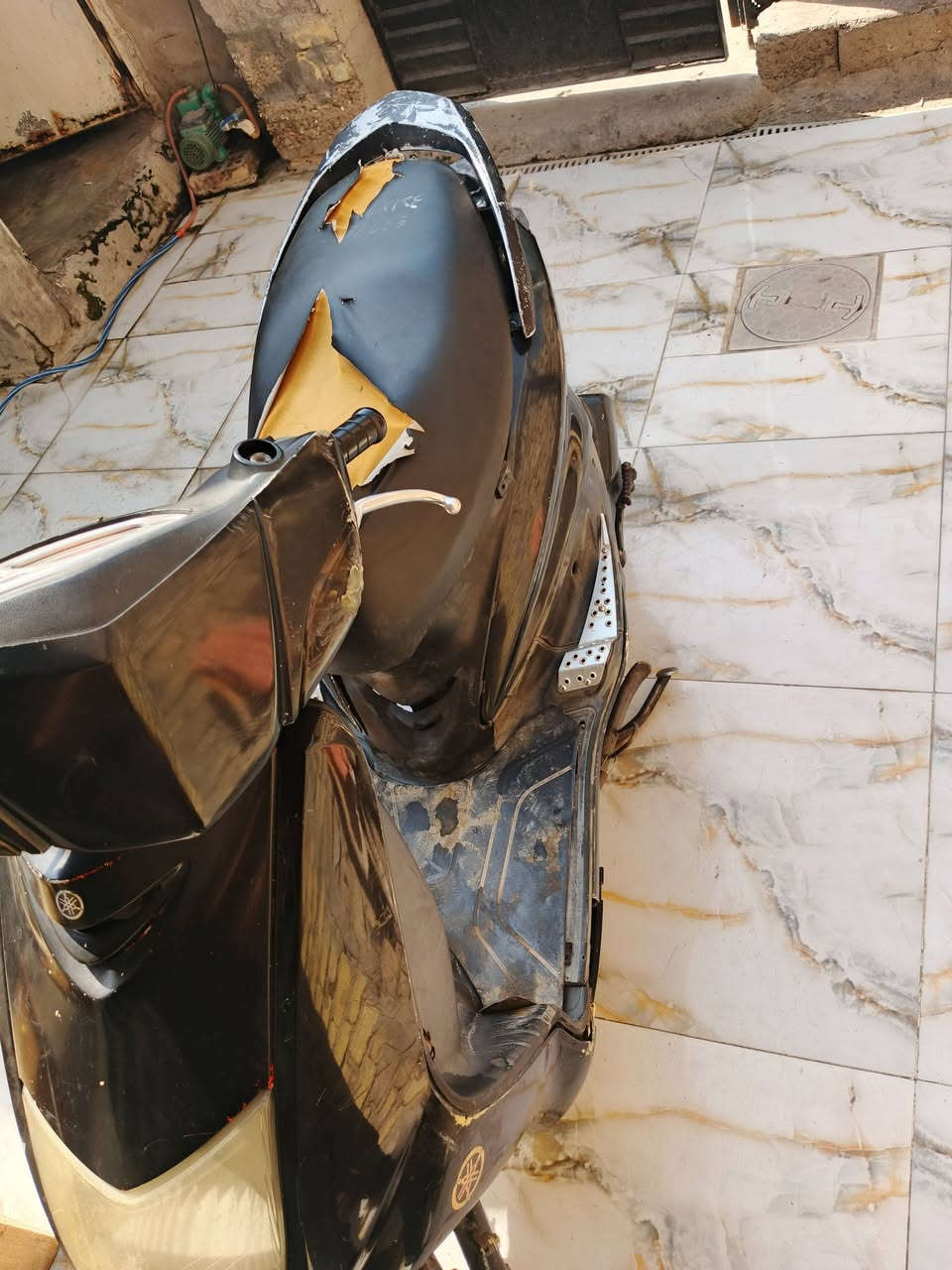 سكنس نثيه • سلف • بدون اوراق