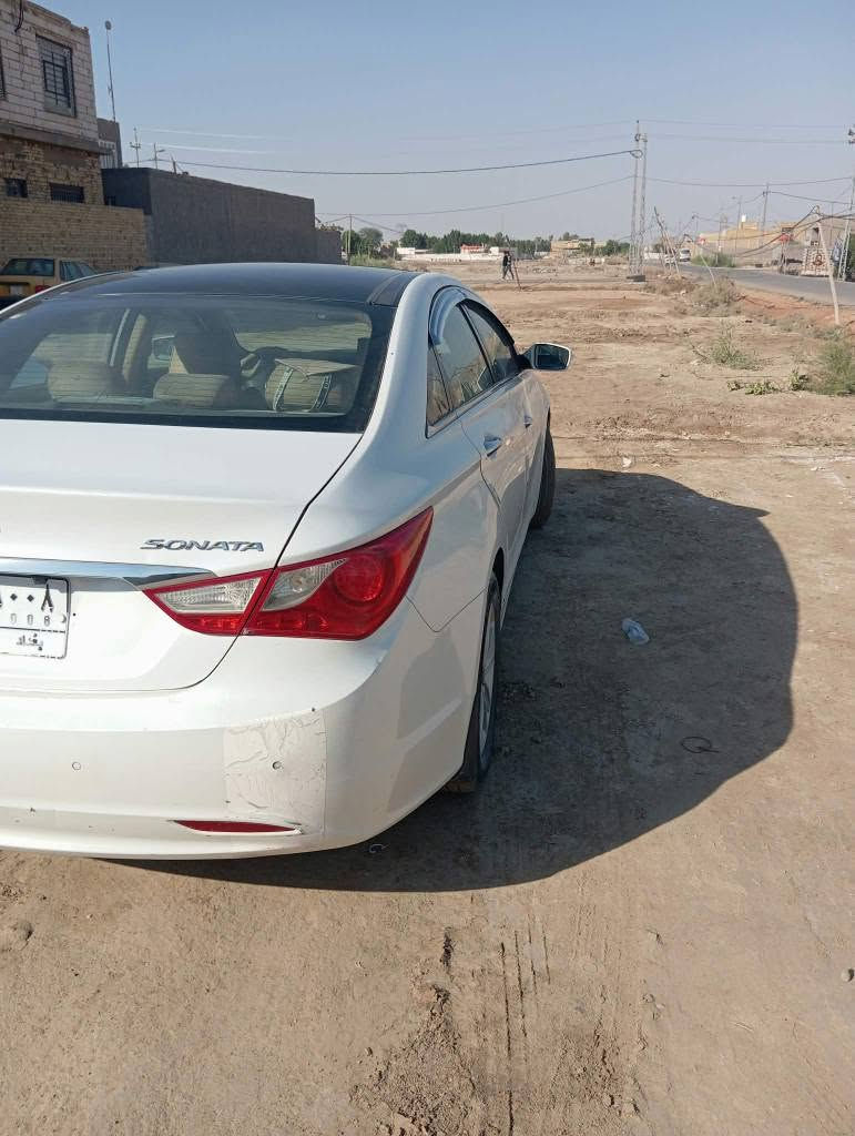 سوناته • ٢٠١١ • ديوانية الشافعيه