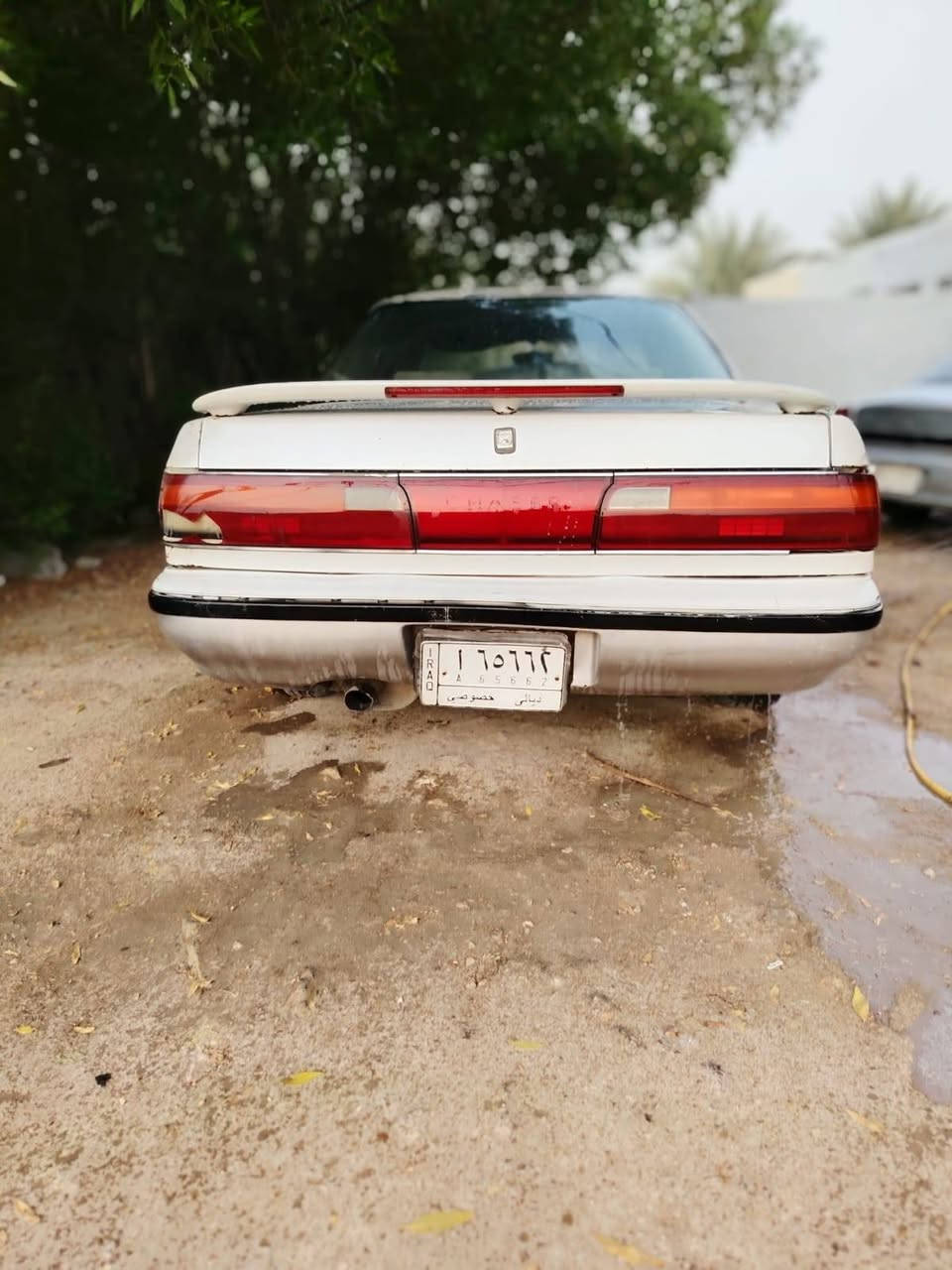 شيرز • ٩٤ • رقم ديالى