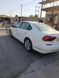 باسات • ٢٠١٩ • بدون صبغ