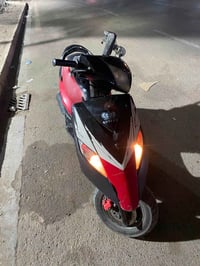 ثعلب • مامفتوح • ناعمه