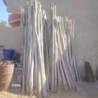 ٣٫٥-٤م • بحدود ٢٠٠ • مباع زوجي