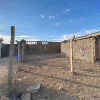 ٣٢٠م • سند ٢٥ • واجهة ١١م