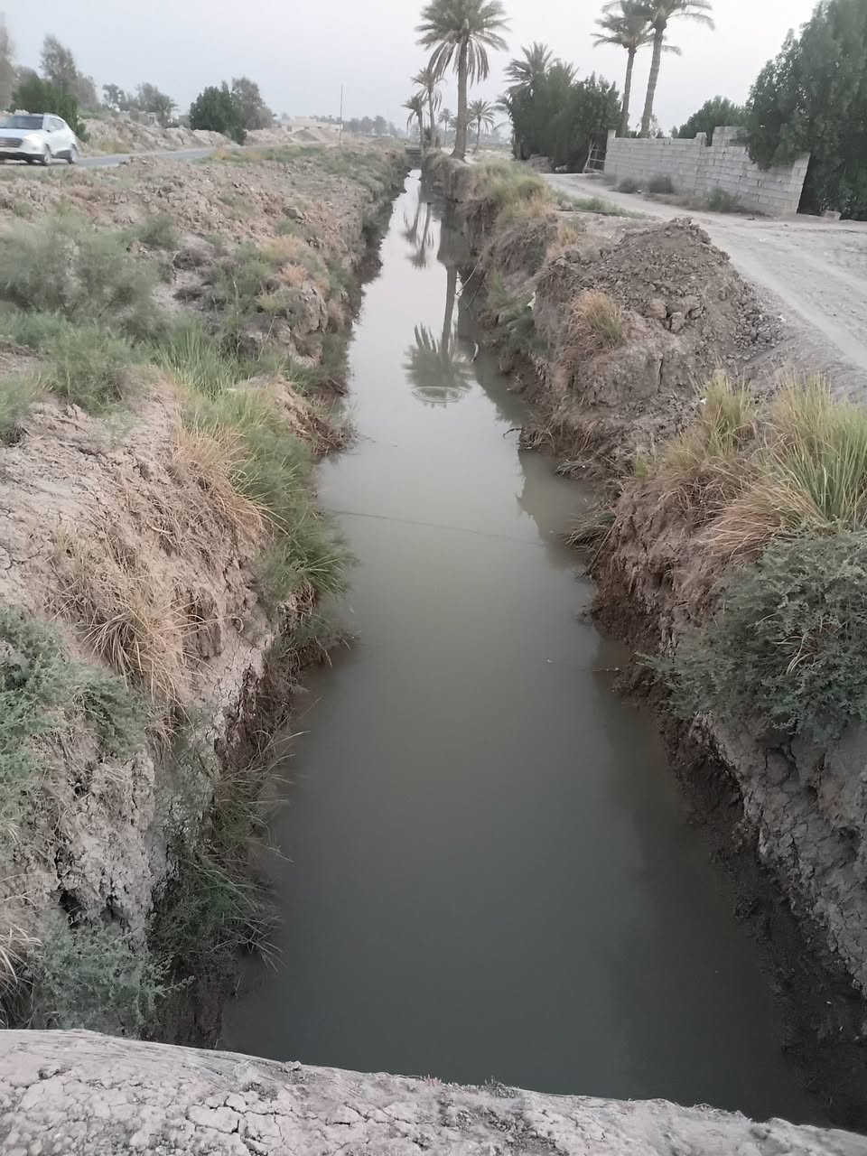 البيع ٢٠ دونم مع بيوت اثنين حديثات بابل جبلة واتساب ***********
