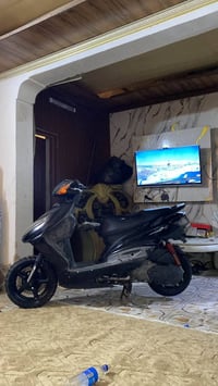 سكنس فحل • معدل • بستم 58 ونص