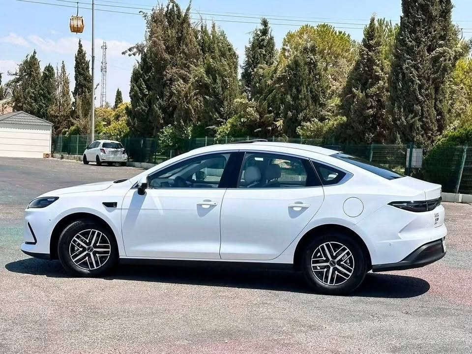 بي واي دي سيل • ٢٠٢٥ • رقم بغداد