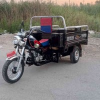 ستوته • ٢٠٢٢ • اوراق كامل