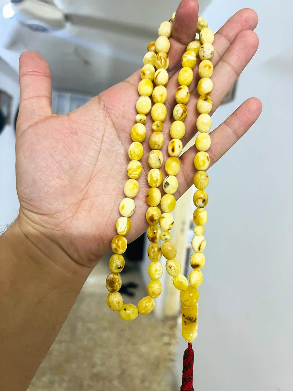 بيض حمام • ٦٥ حبه • ٤٧ غرام