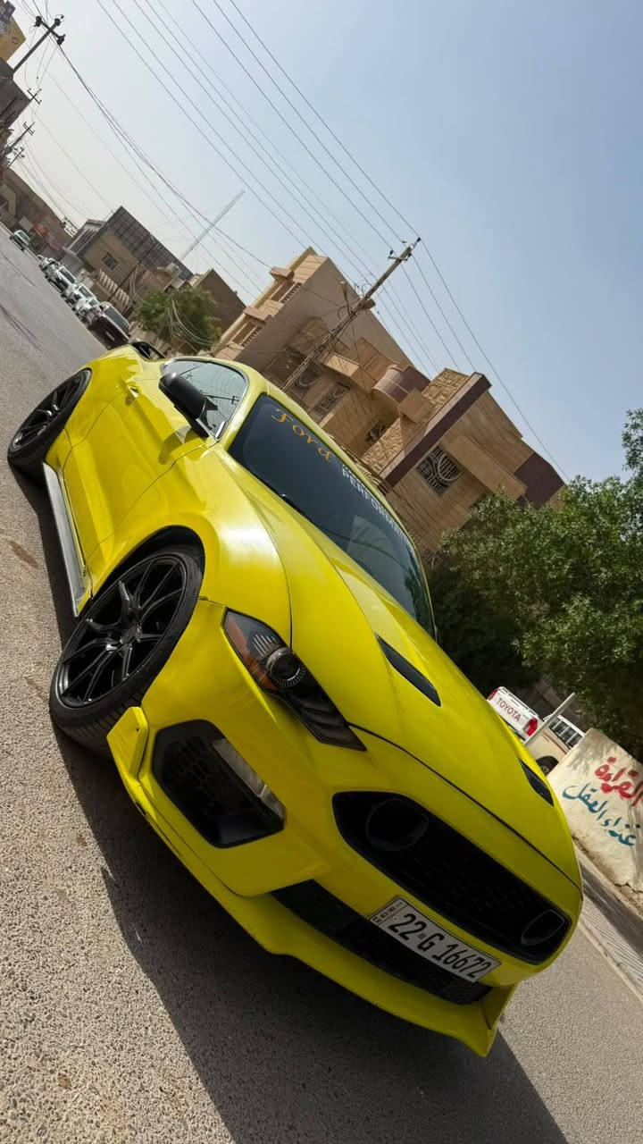 موستنك جيتي 8 سلندر
مديل 2016 
محدثه ماك وان 
كير مكينه جدد هستوني شادهن 
مصبوغه عام تغيير لون 
تبريد ثلج 
ملاحضه السياره نقصه مشط ستيرن شديتله مكينه جديده والستيرن وكف فقط 
مكان السياره كربلاء 
بيع او مراوس 
***********
