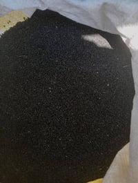 بذور بصل • حار • متعهد بيها