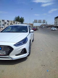 وراد كوري • ٢٠٢١ • رقم اربيل
