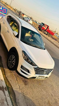 توسان ٢٠١٩ • بدون قطره صبغ • رقم أربيل