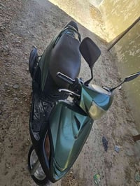 ماكس ثعلب • نضيفه • تكريت