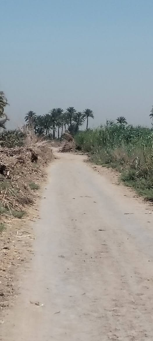 السلام عليكم ورحمة الله وبركاته .
أرض طابو زراعي سند ٢٥ للبيع في منطقة العلاك على جهة البحموسه تبعد عن الشارع العام الحمزة شوملي اقل من ٨٠٠ متر المساحة ٣ دونم .  مع توفر مياه سقي اللاستفسار أكثر عن السعر الاتصال على الرقم *********** او ***********
