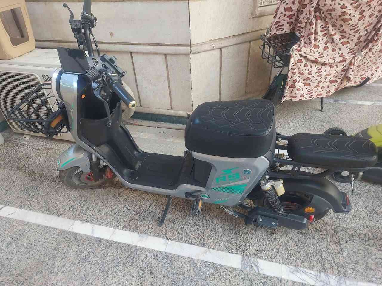 جديدة • ماشيه سبوع • شارع فلسطين