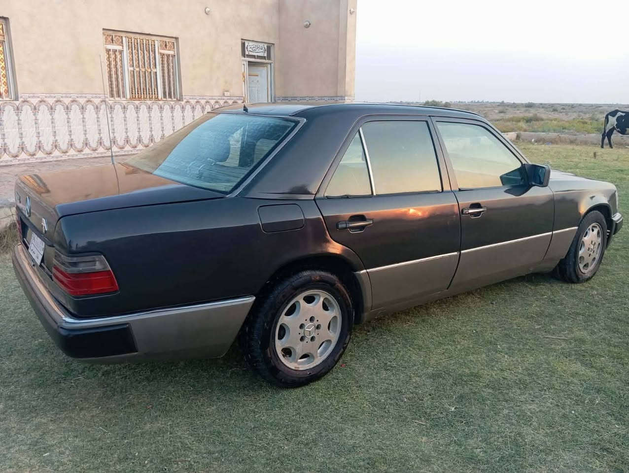 مارسيدس دب موديل 90 مكينه VVT2500 رقم بغداد مشروع وطني حدايه جديده كهربائيات شغاله تبريد شغال مصبوغة عام بدون ضربه السعر 46 بيها مجال مكاني الناصريه
*********** واتساب 
***********
(بيع أو مراوس)
