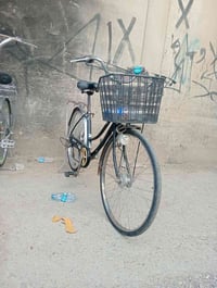 باسكن • نظيف • حجم ٢٦