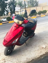 فراشه • معمر • جديد