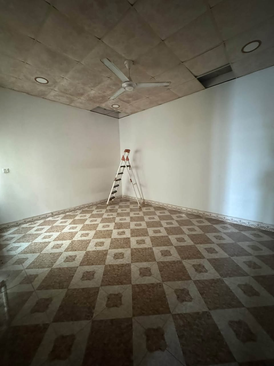 دار للإيجار • ١٠٠م • روناكي