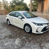 كورلا ٢٠٢١ • بدون صبغ • كفالة