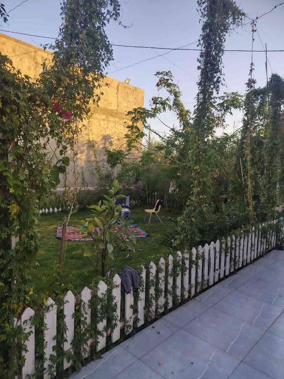 ميسان الدفاس • دونمين ونص • ٦ بيوت
