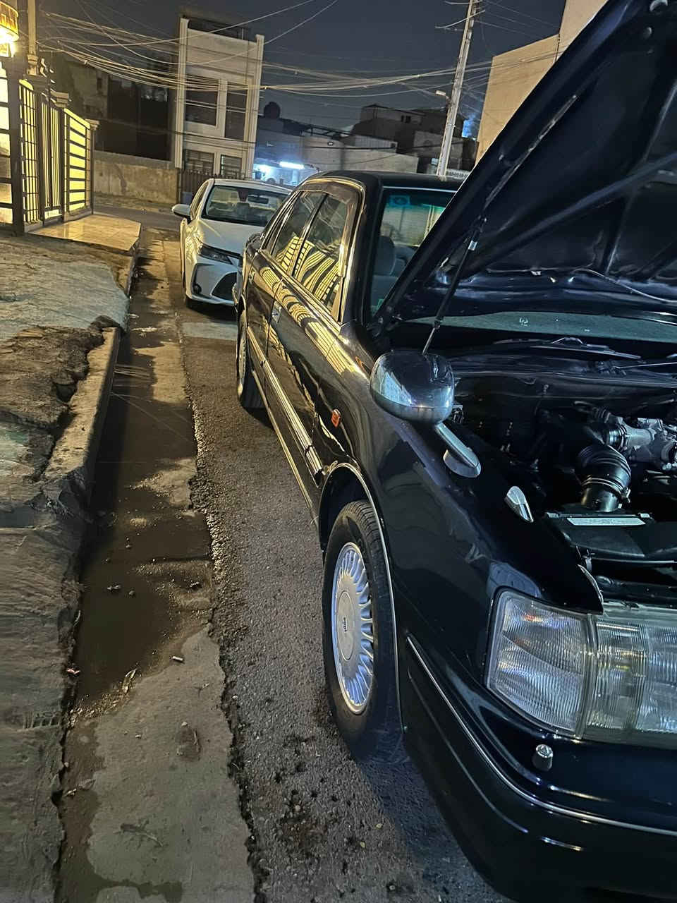 كراون أرنب • ٢٠٠٠