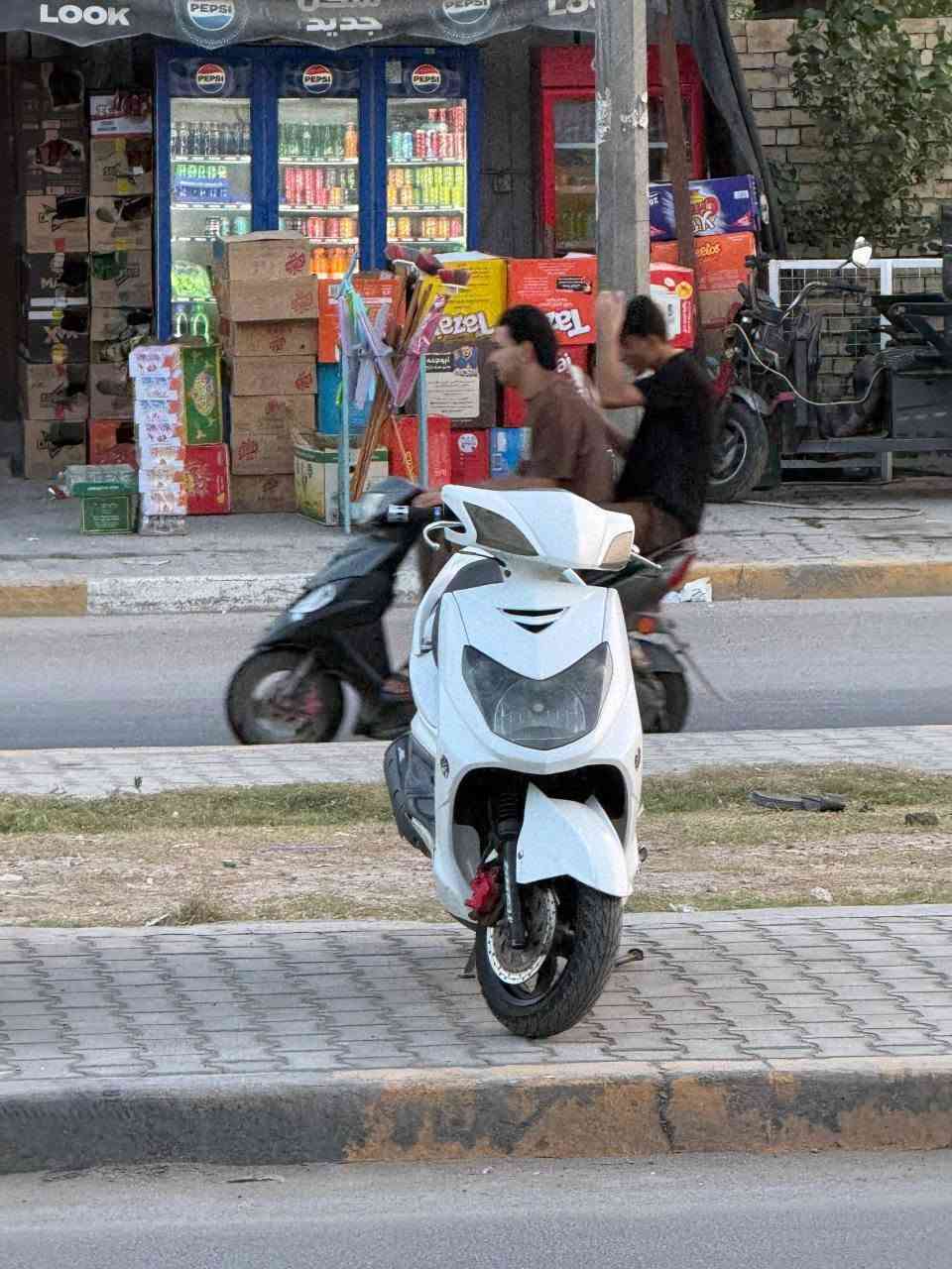 سكنس فحل • نوزل خطين • زينون