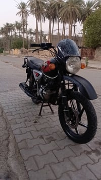 بوكسر • جبلي • ٢٠٢١