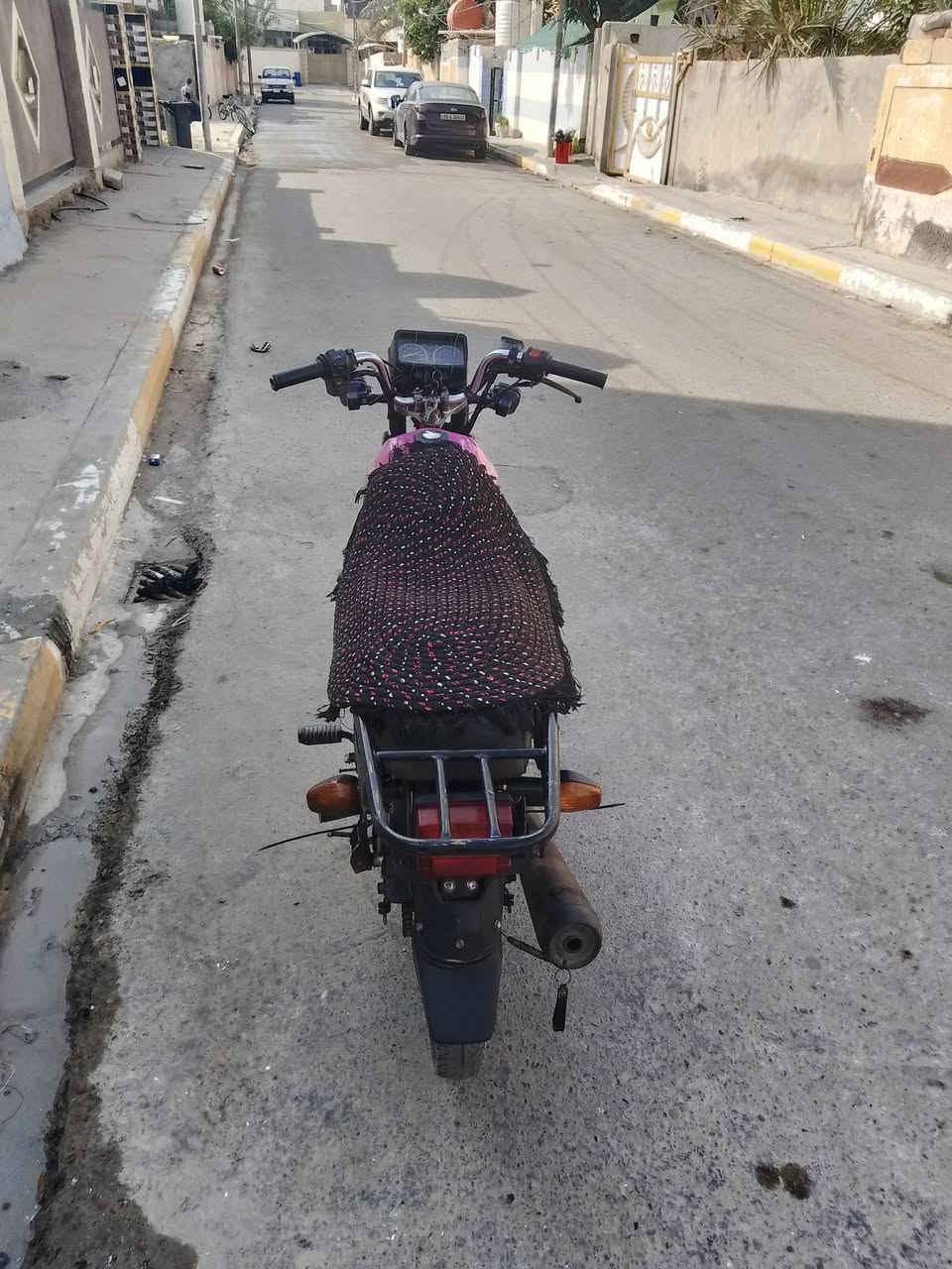 شاينك • ٢٠٢٣ • بدون اوراق