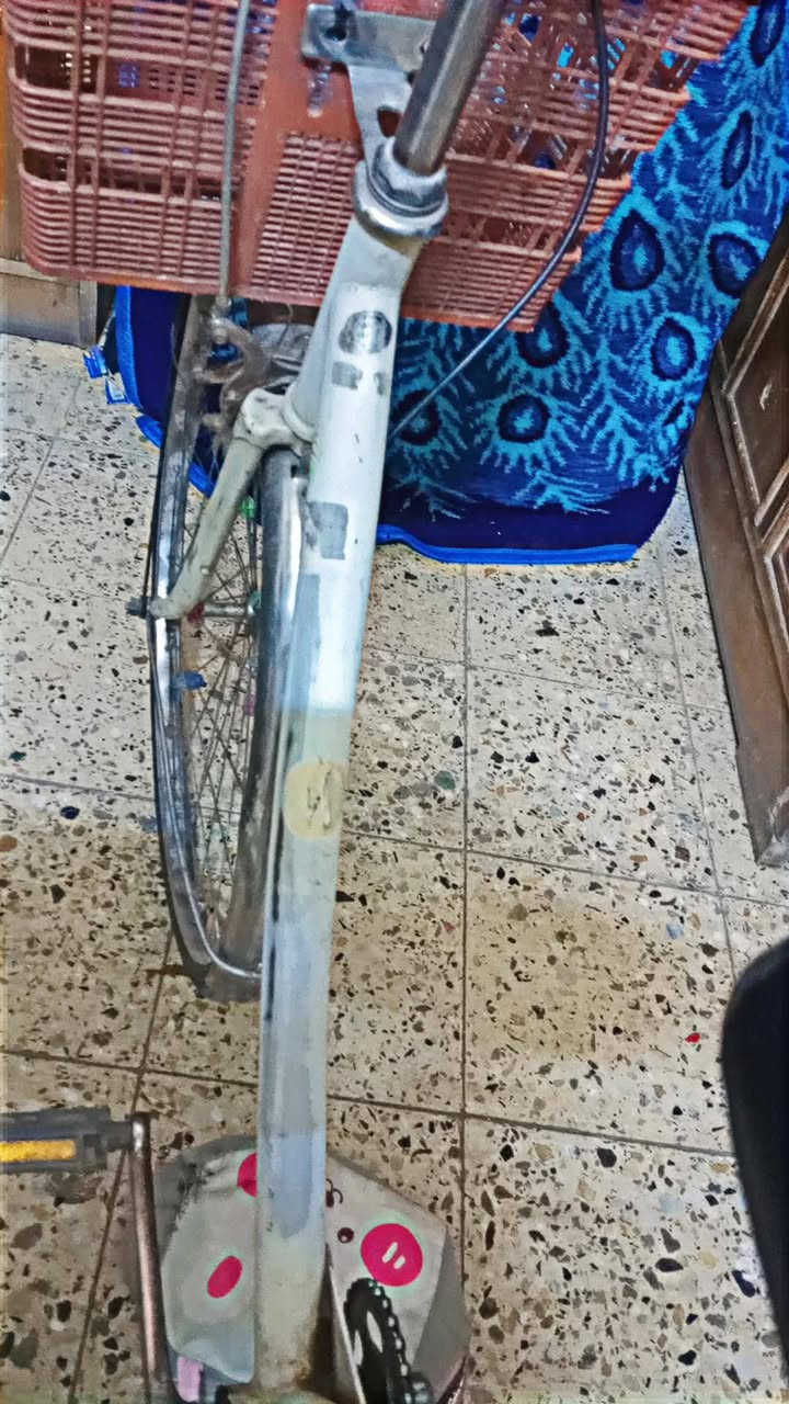 ياباني • ٢٠١٨ • نظيف