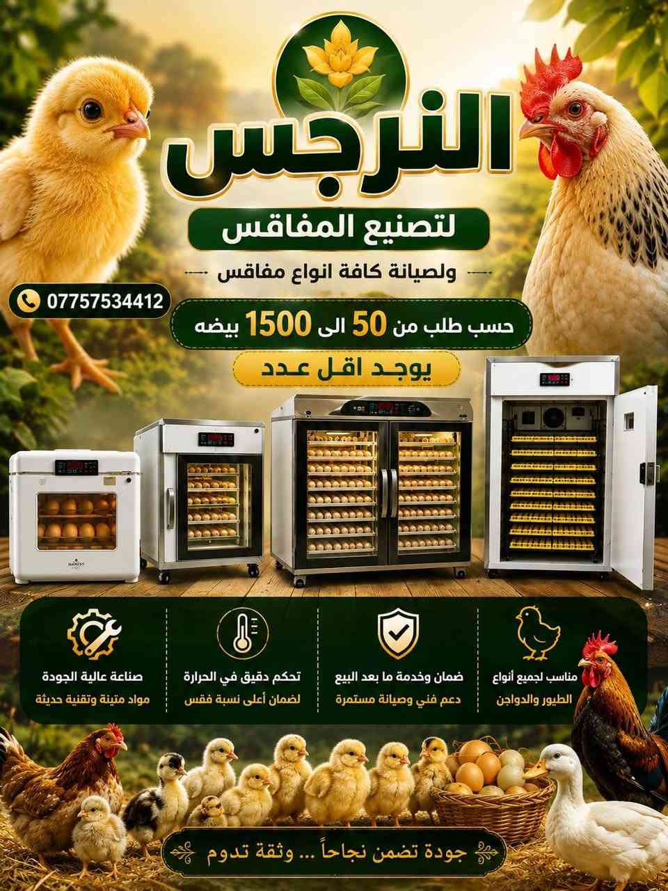 النرجس • مفاقس • ٥٠-١٥٠٠ بيضة