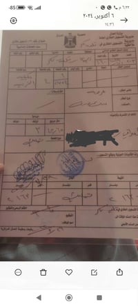 العكيلية الغربية • ٣٤٥م² • طابو رسمي
