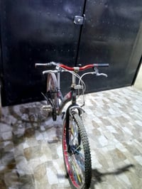 بايسكل • حجم 24