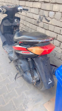 سكنس • ١١٠ • بدون اوراق