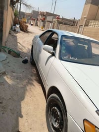 رقم بصره • الزبير • سنوية منتهية