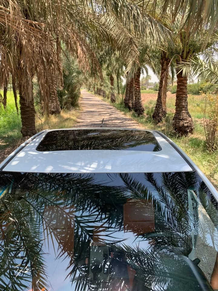 البيع 
اكسنت موديل ١٦ خليجي 
مكينه ١٦٠٠  (( تبيل الدهن كله يم الحسام )))
والصيانه فقطط (( بوكاله موبس )))
كير مكفول
فول موصفات 
سايد روف شاشه 
حساسات امامي خلفي 
اشاير مري 
خمسه ويل كب 
خمس تجاوي 
تحكمات استيرن
جاو اوتو 
السياره (بلوووو فول مواصفات))
السياره رقم سنويه هزه كله جديد بسمي تحويل مباشر
الرقم ***********
السعر 103
مكان دوره بغداد
رجاااااااااا الشراي فقطط يتصل
