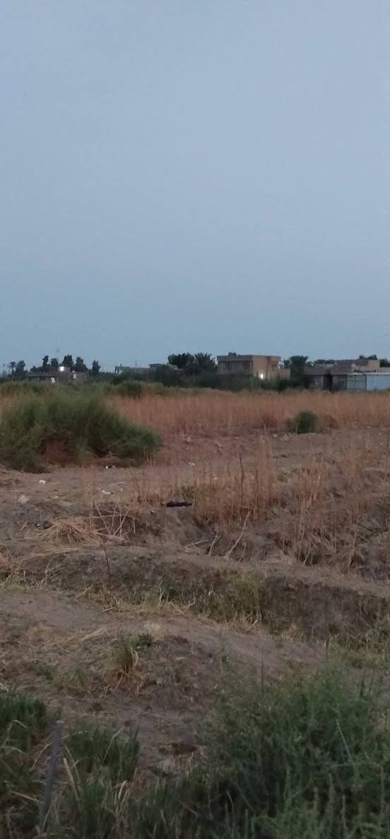 دونم • المسيب • سند ٢٥