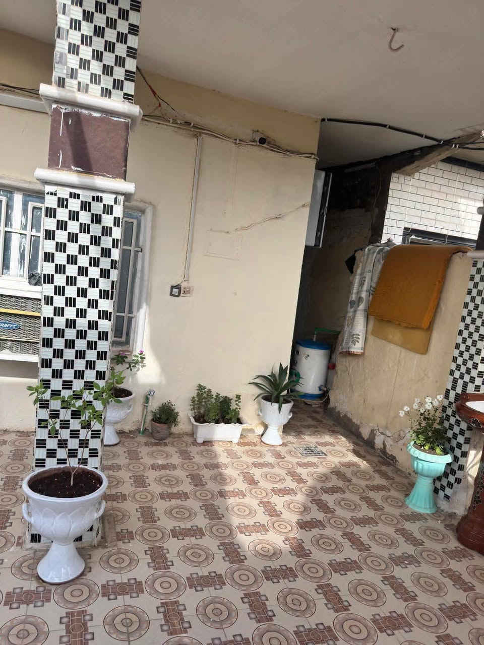 الباشية • ٢٢٠م • طابو صرف