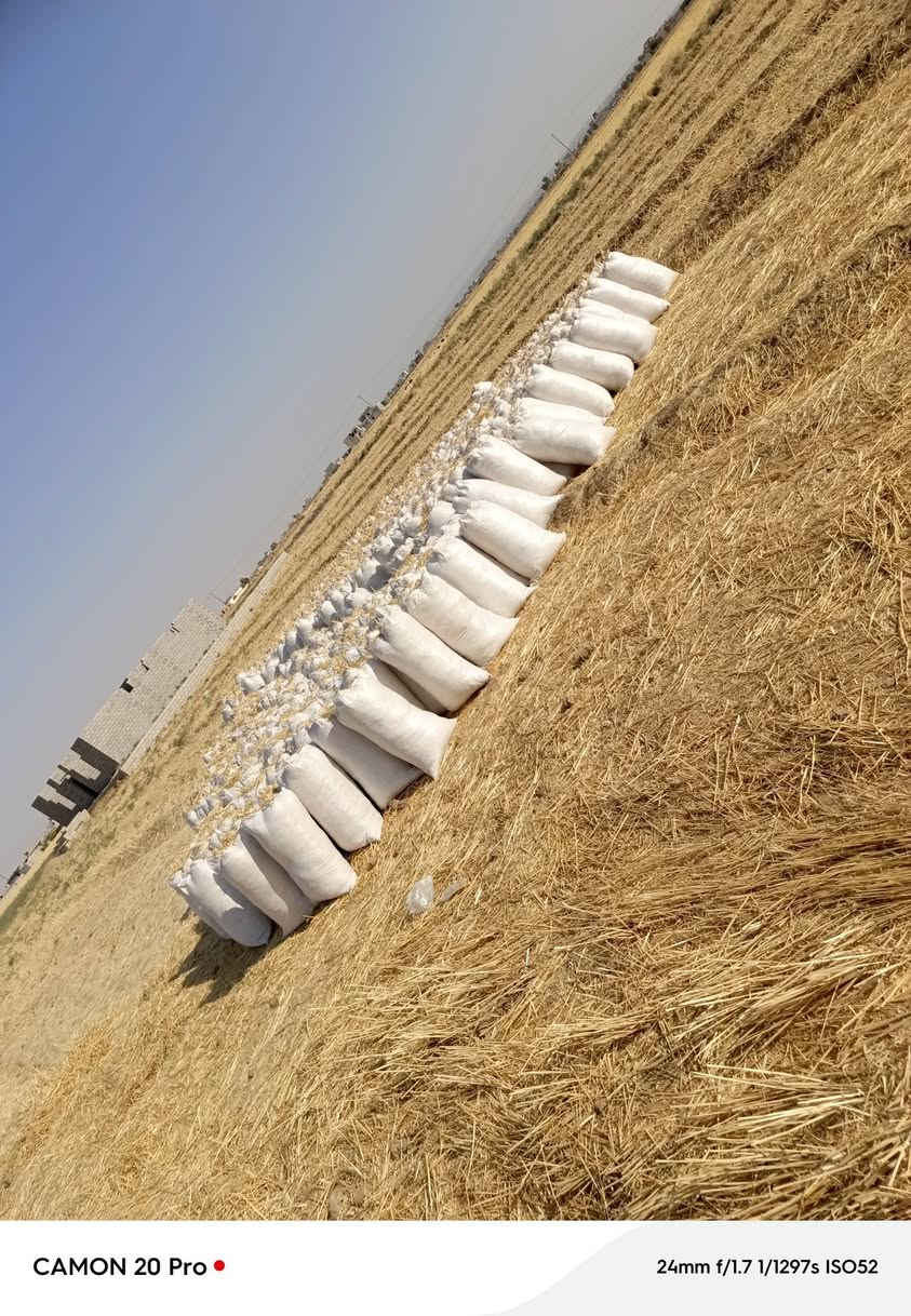اسلام عليكم يوجد تبن لل بيع مال دكاكه معبي كامل جياس حجم الجيس 55 العدد 420 جيس المكان الشرقاط الساحل الأيسر السفينه السعر اتصل ***********
